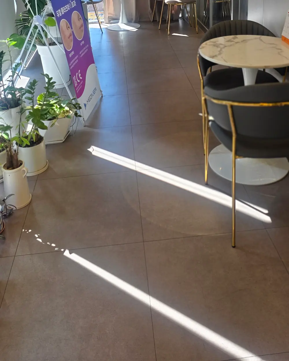 Re & Aesthetic 리엔에스테틱 강남대로106길, 3층 — 라운지 — 식물과 자연광